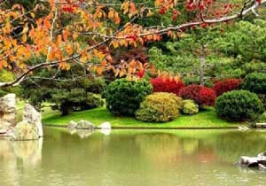 İlk CEMRE düşüyor