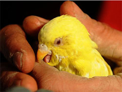 O da enkazdan kurtarıldı!