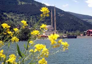 Dünyanın en değerli ilk 20 ülkesi