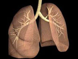 10 hasta'dan 9'u KOAH!