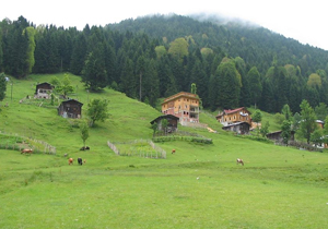 Trabzona gelen yabancı turist arttı!