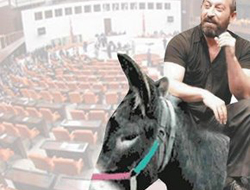 Eşekle Meclis'e gidecek