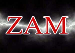 2011'de zam yılı oldu!