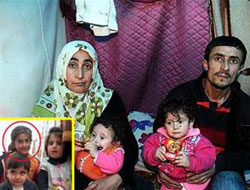 Van'da soğuğun verdiği kayıplar!