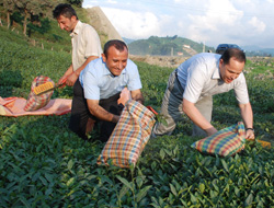 Devletten çiftçiye müjdeli haber