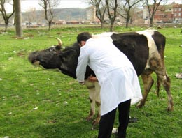 Kütahya karantinaya alındı!