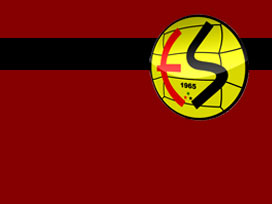 Eskişehirspor hocasını buldu