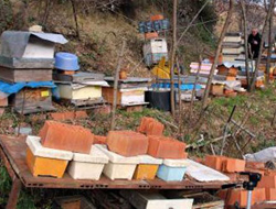 Bu da bir Karadenizli icadı!