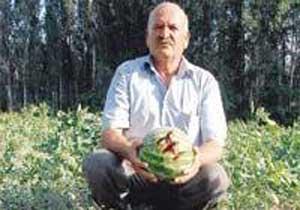 Ayıların İntikamı