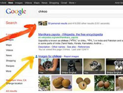 Artık Google seni arayacak