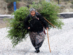 Güllü ninenin yaşam savaşı!