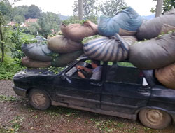 9 İlde kaçak çay operasyonu!