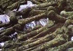 Faili meçhul kazısında kemik çıktı