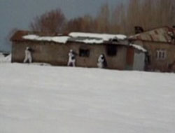 Muş'ta PKK'ya operasyon!