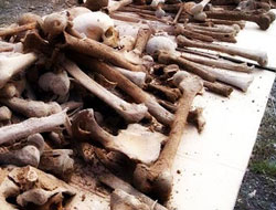 JİTEM'in bahçesi ceset tarlası