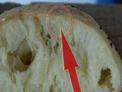 Ekmekteki tükürük cinayeti çözdü!