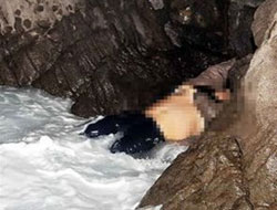 CHP'li üye ölü bulundu!