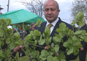 Fındıkta iyi kooperatifte geriyiz