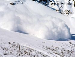 4 kişilik aile çığ altında