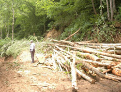 Trabzonlu dedeye ilginç ceza