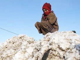 Çocuklar soğuğa dayanamadı