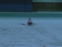 Dünyanın en vefalı futbol taraftarı