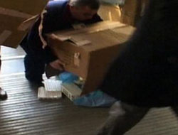 Kutudaki ''organlar'' yere düştü