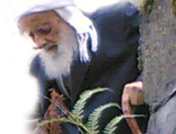 Of'un 'Oflu Hocaları' gerçekmiş!