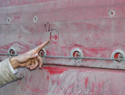 Şoför hayvan sanmış ama