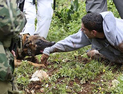 Gence köpekle işkence yaptılar