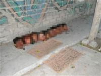 Pazar yerinde 10 kesik baş