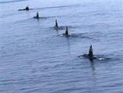 ABD hazırlığa başladı