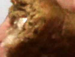 Kebap’dan naylon ip cıktı