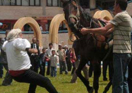 Malkoçoğlu attan düştü