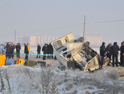 Merkez olay yerinde iki at öldü