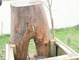 Böyle çeşme olmaz olsun!