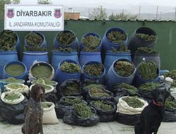 40 Kilo Kokain Ele Geçirildi