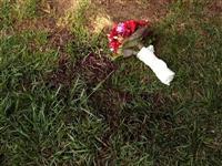 Yunanistan'da açlık baş gösterdi