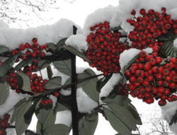 Nisanda kar yağdı!