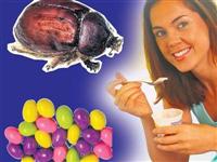 Ünlü markada böcek var