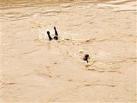 Dalın ama para yok!