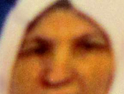 Bu insanlara ne oluyor!