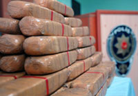 252 kiloluk insanlık suçu (!)