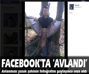 Fotoğrafı paylaşınca ceza aldı