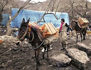"Ver çocuğunu, geç sınırı"