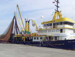 Gırgır ve Trol yasağı başlıyor