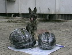 63 kilo uyuşturucu yakalandı!