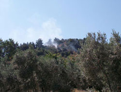 Ormanda iki çocuk kayboldu