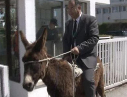 Meclise Eşekle geldi!