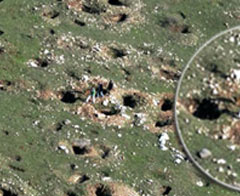 Akalan Belediye Başkanı kaçak kazı operasyonunda tutuklandı